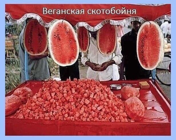 Смешные мемы