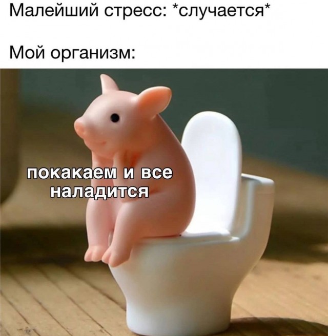 Приколы