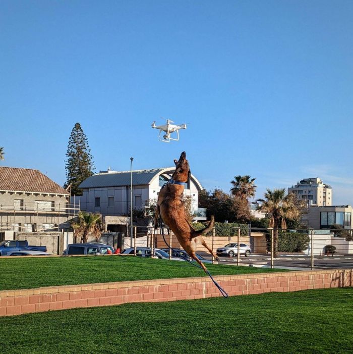 Свежие приколы