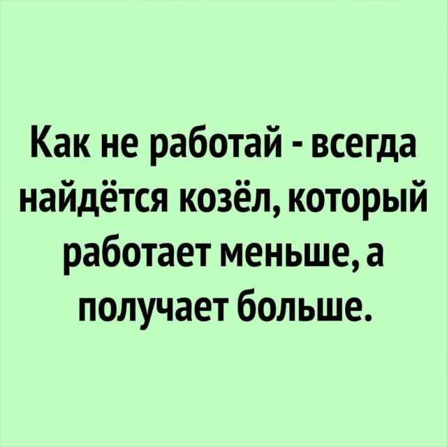 Новый сборник смешных картинок: Поднимите настроение с прикольными подписями