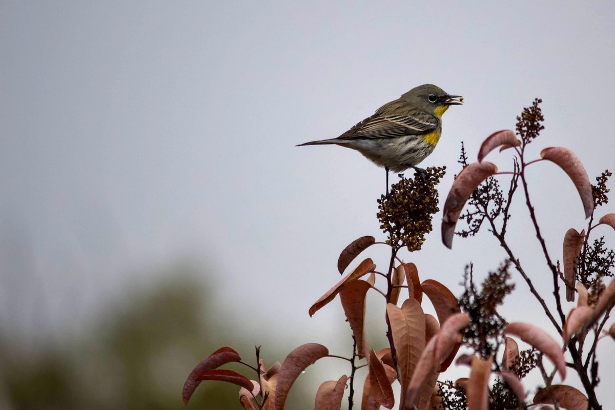 Позитивные картинки