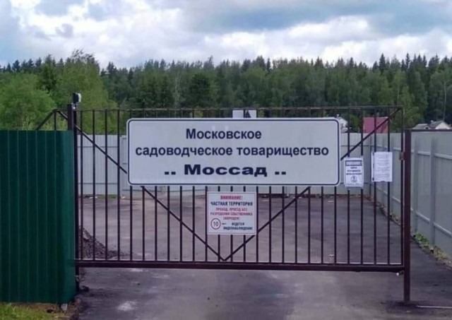 Смешные мемы