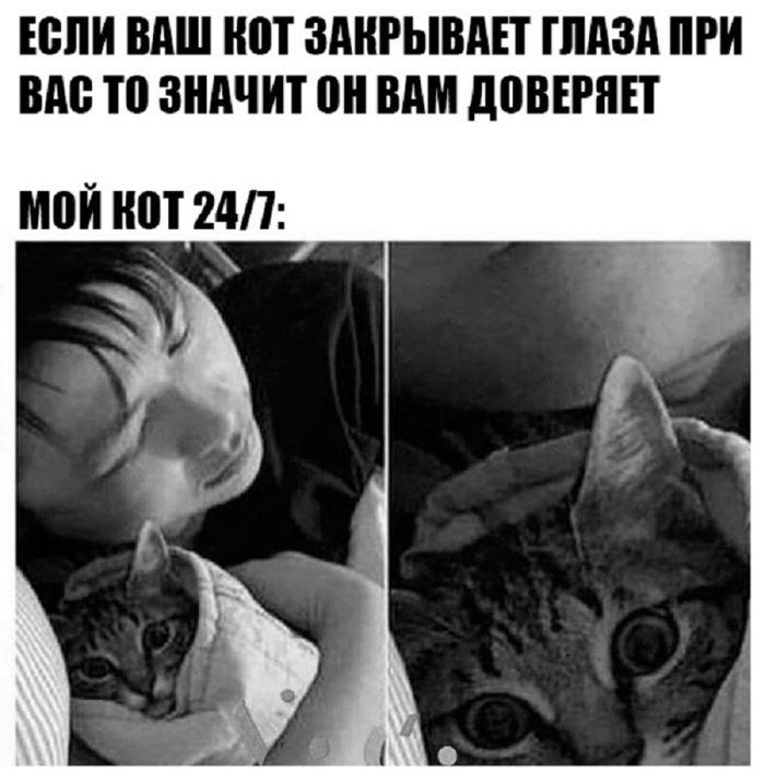 Смешной черный юмор