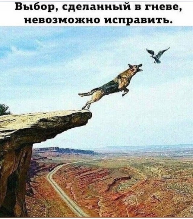 Смешные картинки с надписями