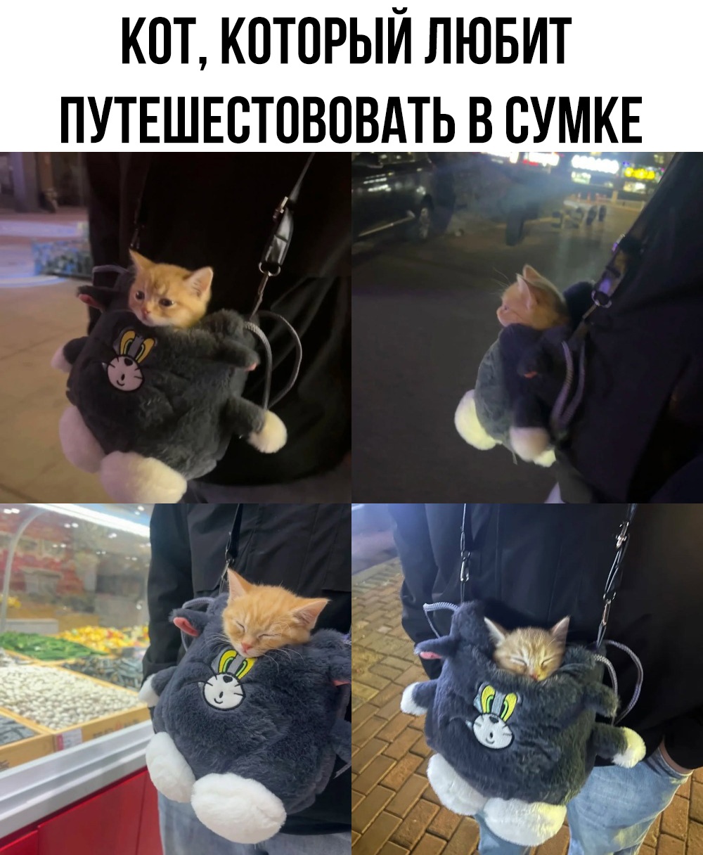 смешные приколы