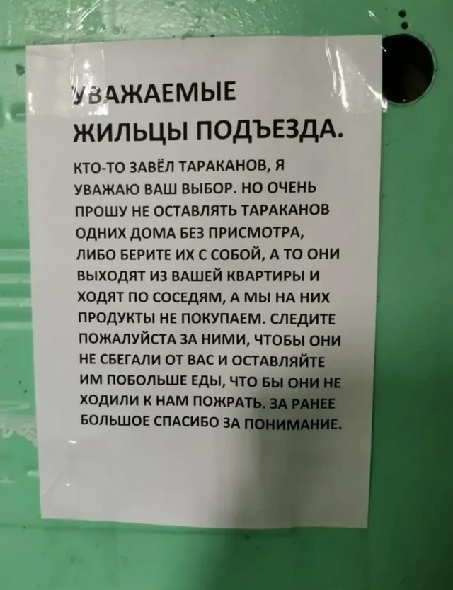 Приколы
