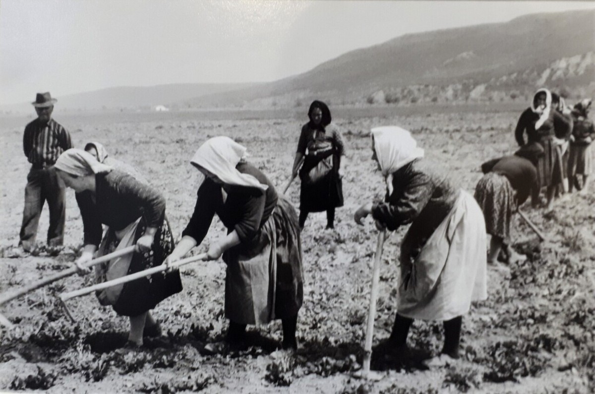 Забытый архив: Италия 50-60-х в объективе Паоло Ди Паоло