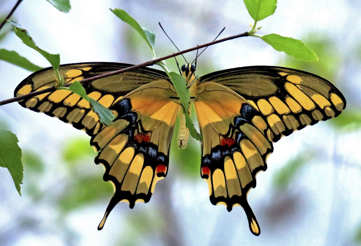 Позитивные картинки