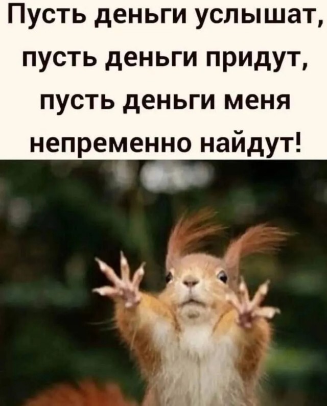 Смешные картинки с надписями