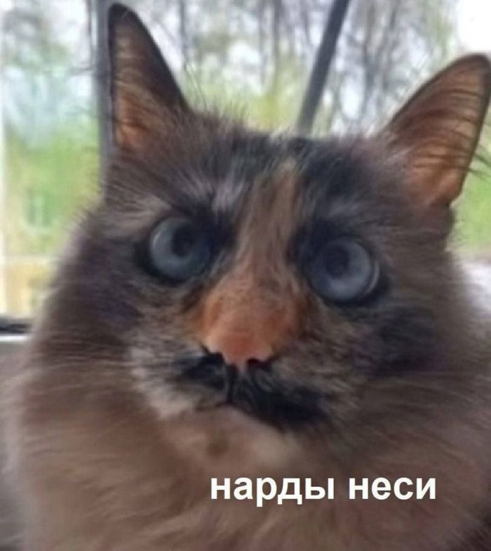 Смешной черный юмор