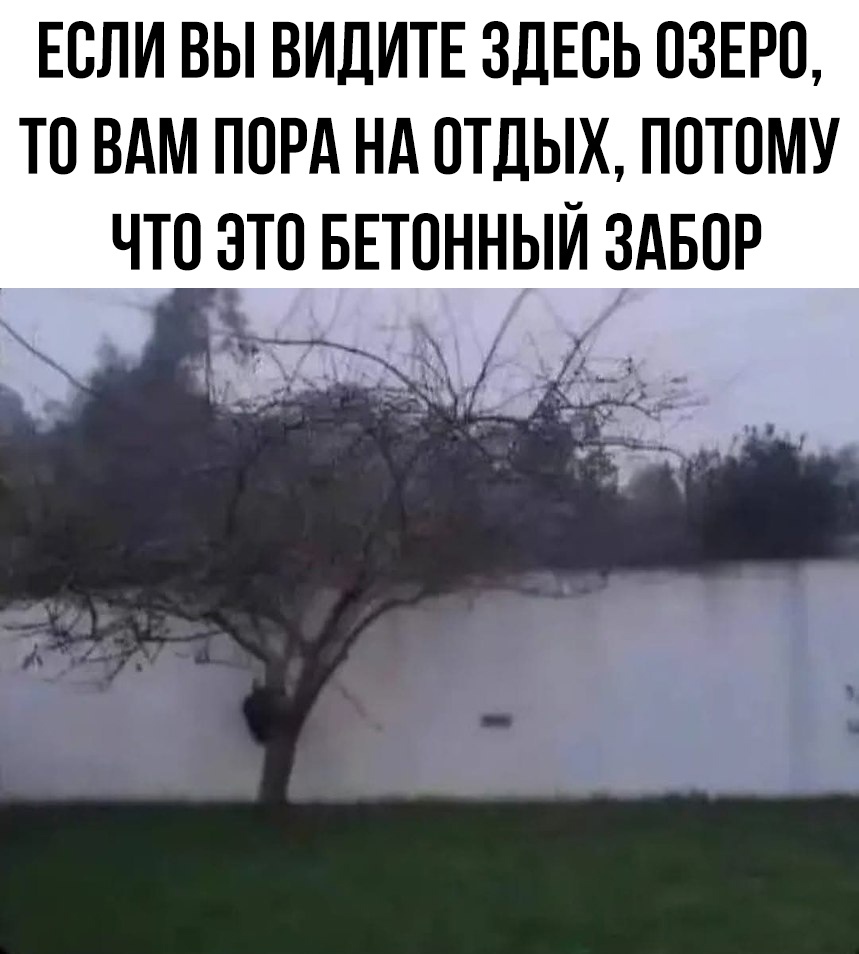 Смешные мемы