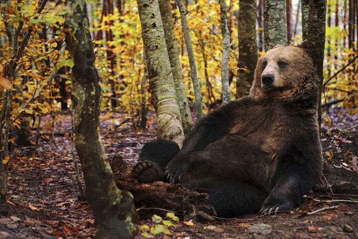 Смешные мемы