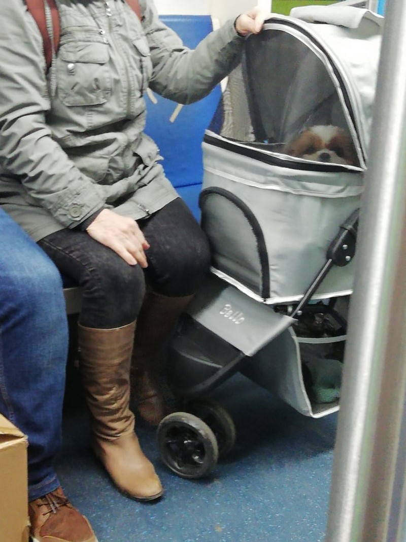 Модники из метро