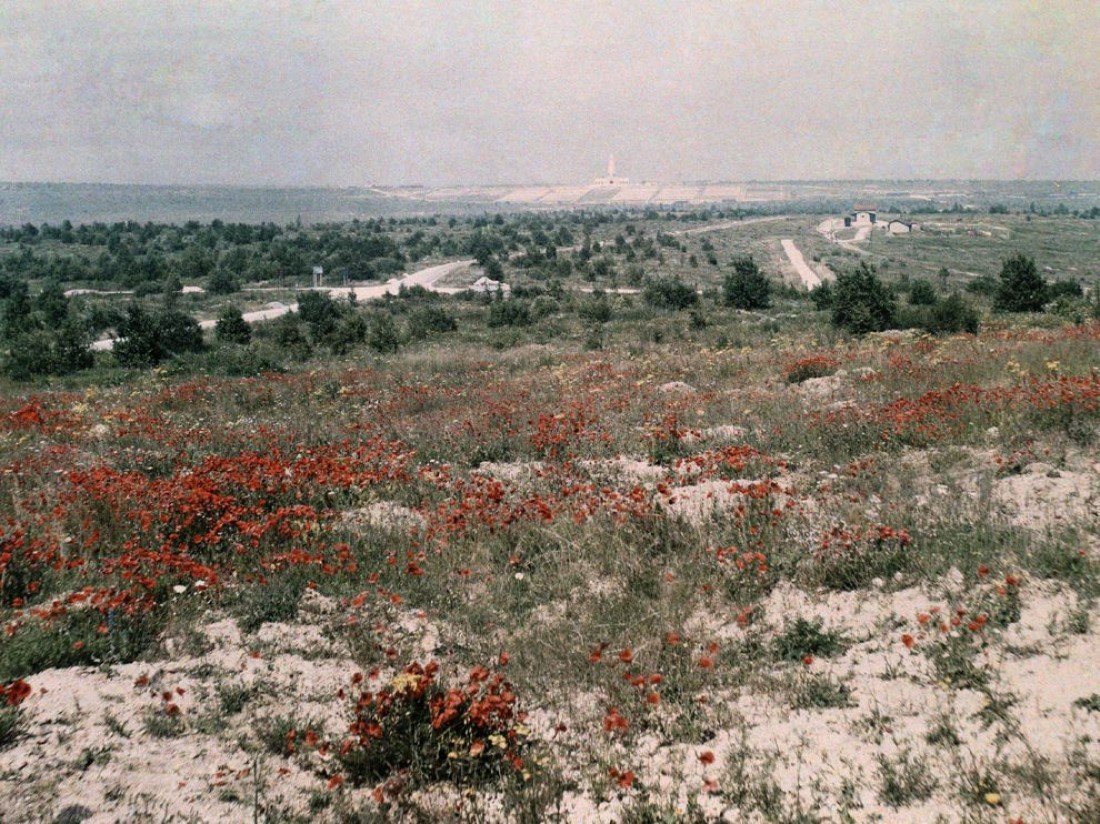 Новый ландшафт