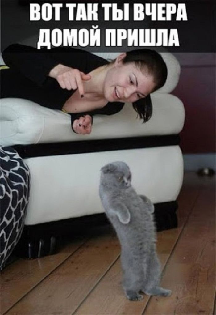 Смешной черный юмор