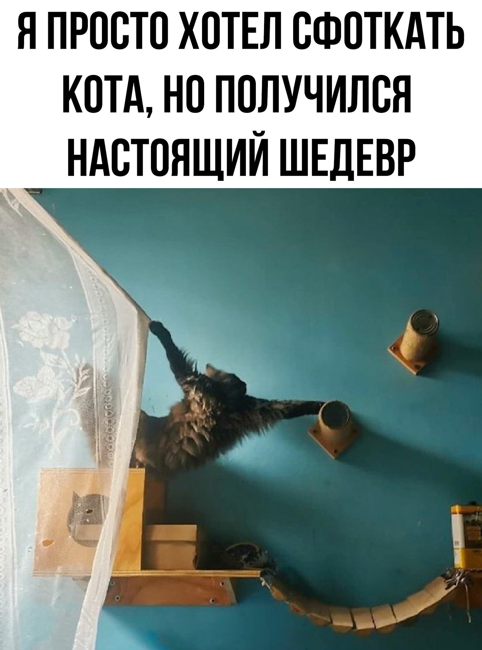 Смешные мемы