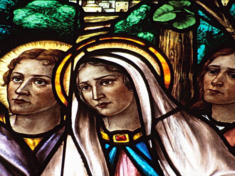 Моча как универсальное средство