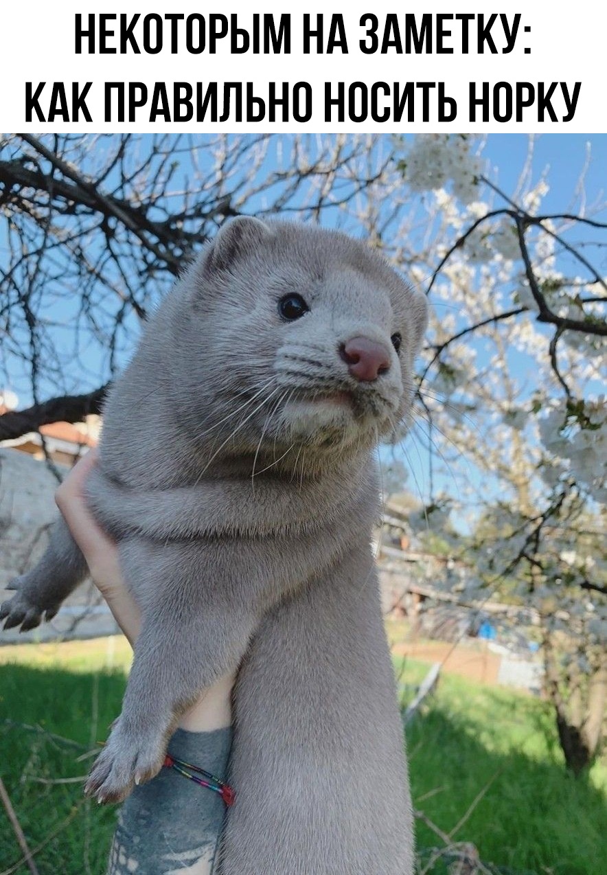 смешные приколы