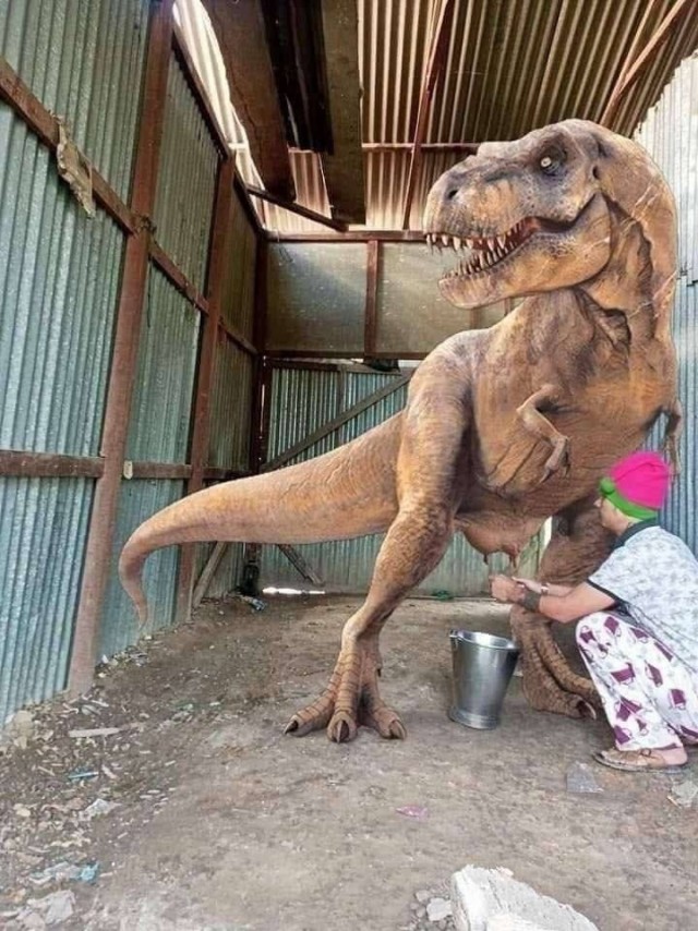 Топ приколы