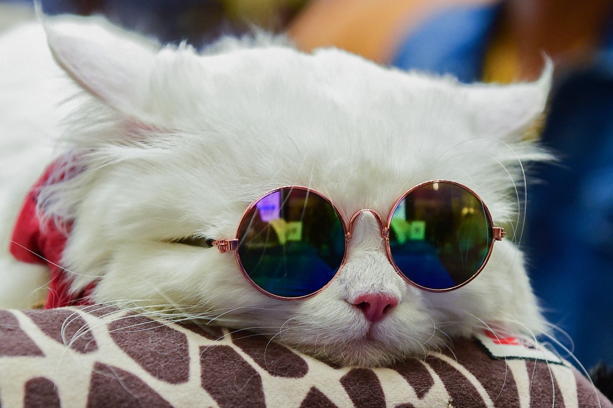 Индия в кадре: Яркие праздники и суровая реальность