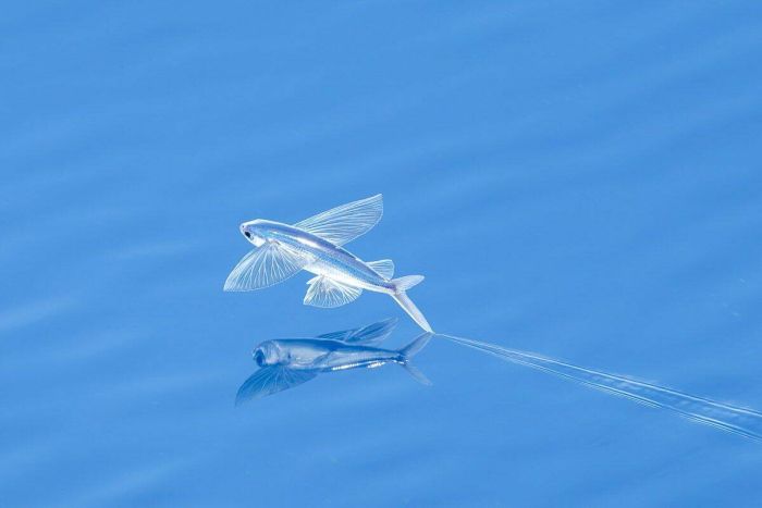 Топ приколы