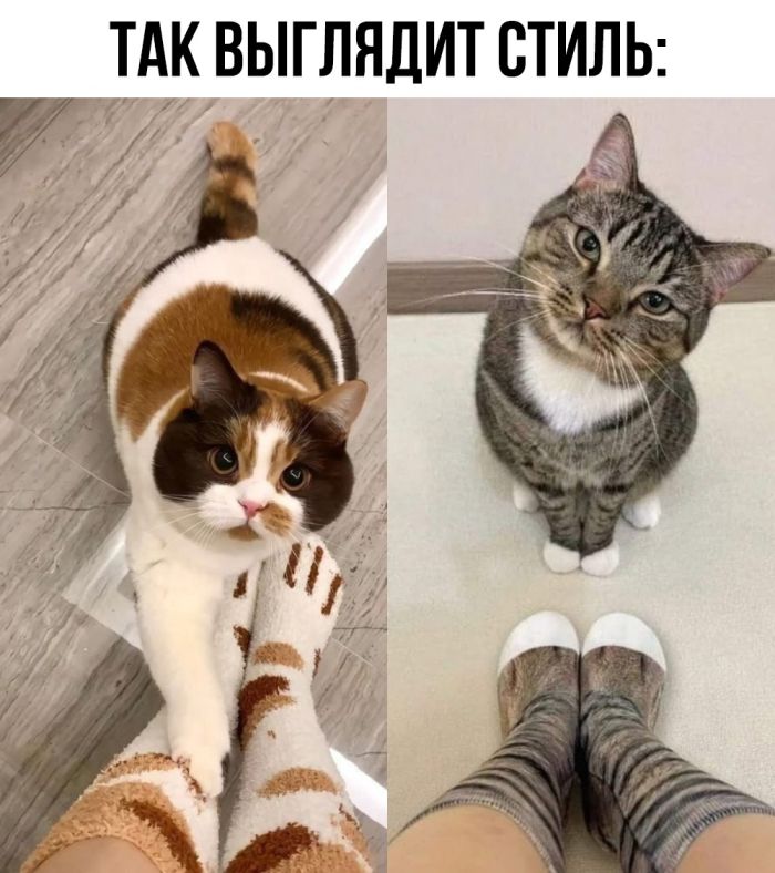 Смешные картинки с надписями