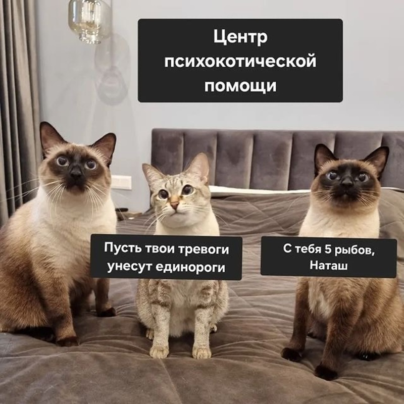 Огромная коллекция самого темного юмора и острых шуток с изюминкой!