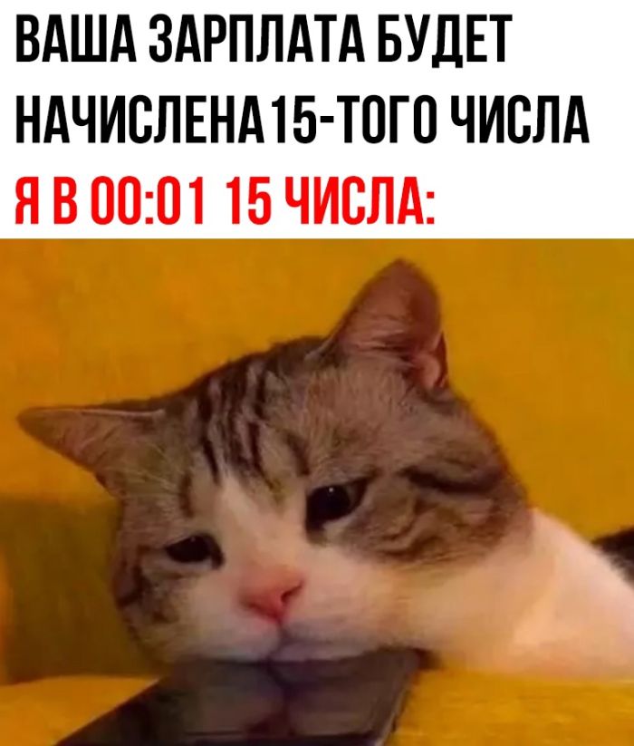 смешные приколы