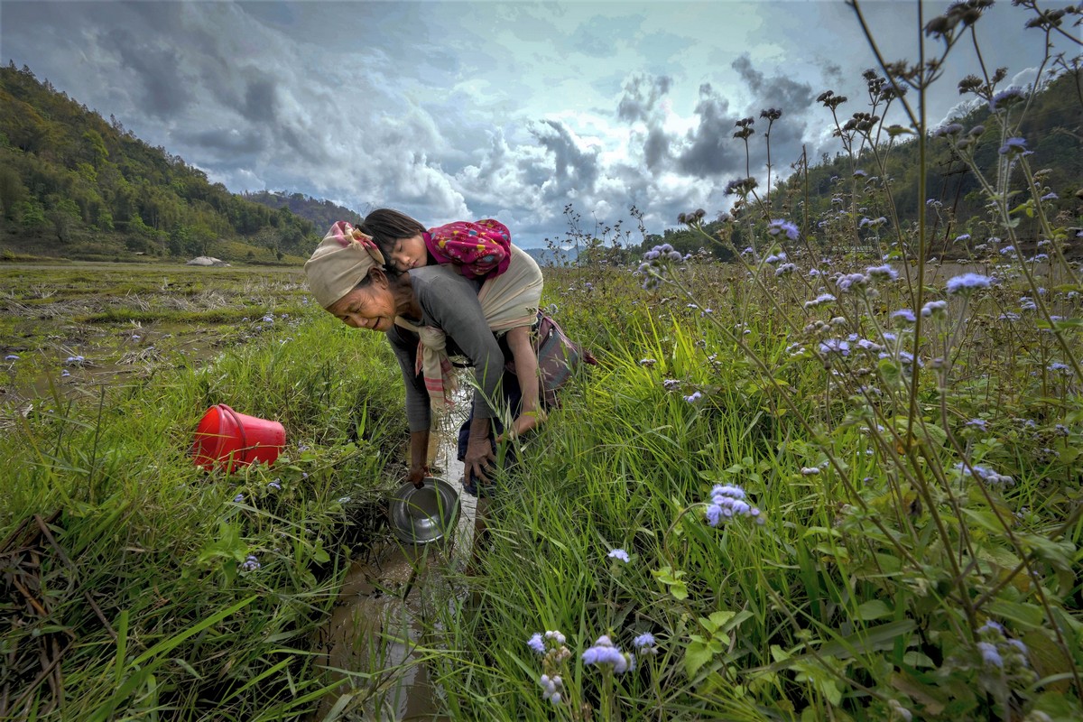 Индия в кадре: Яркие праздники и суровая реальность