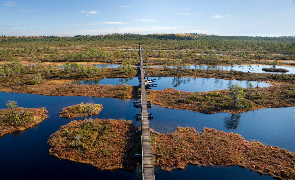 Смешные мемы