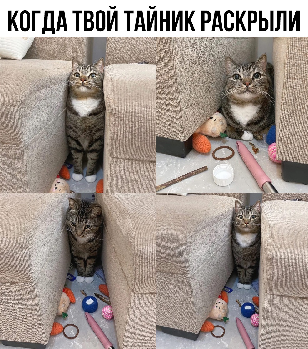 Смешные мемы