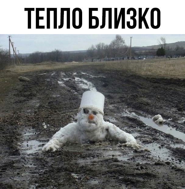 смешные приколы