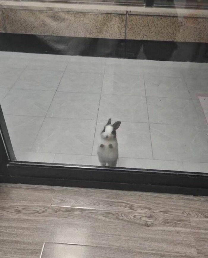 Топ приколы