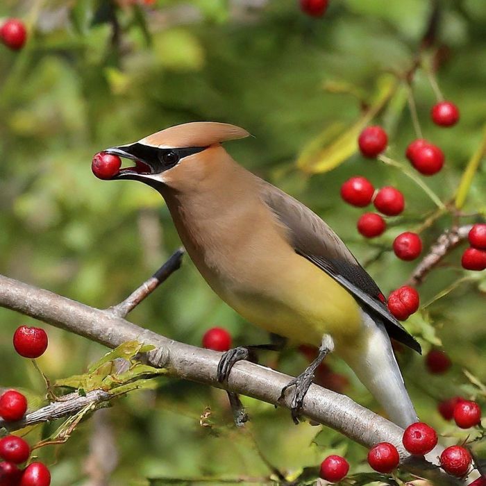 Смешные мемы