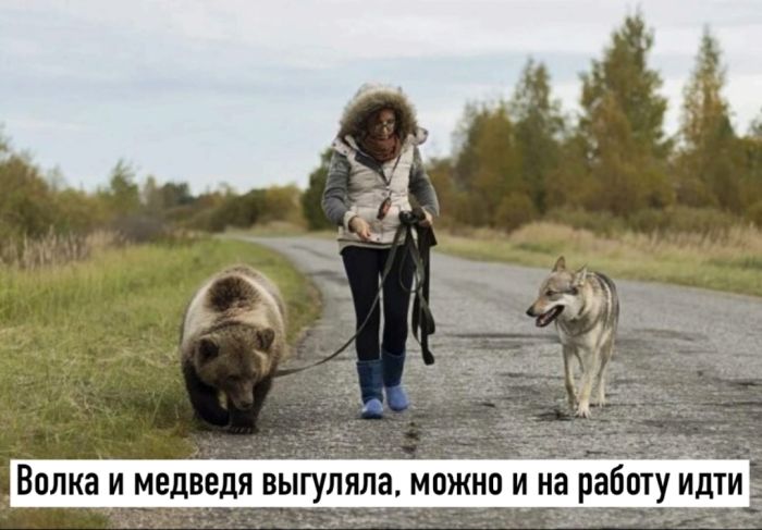 Смешные мемы