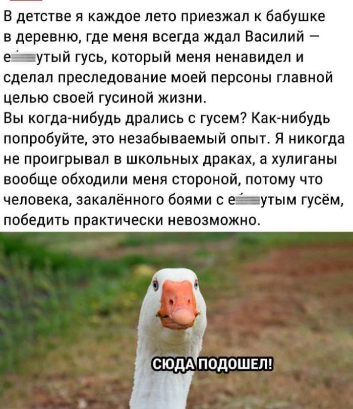 Смешные мемы