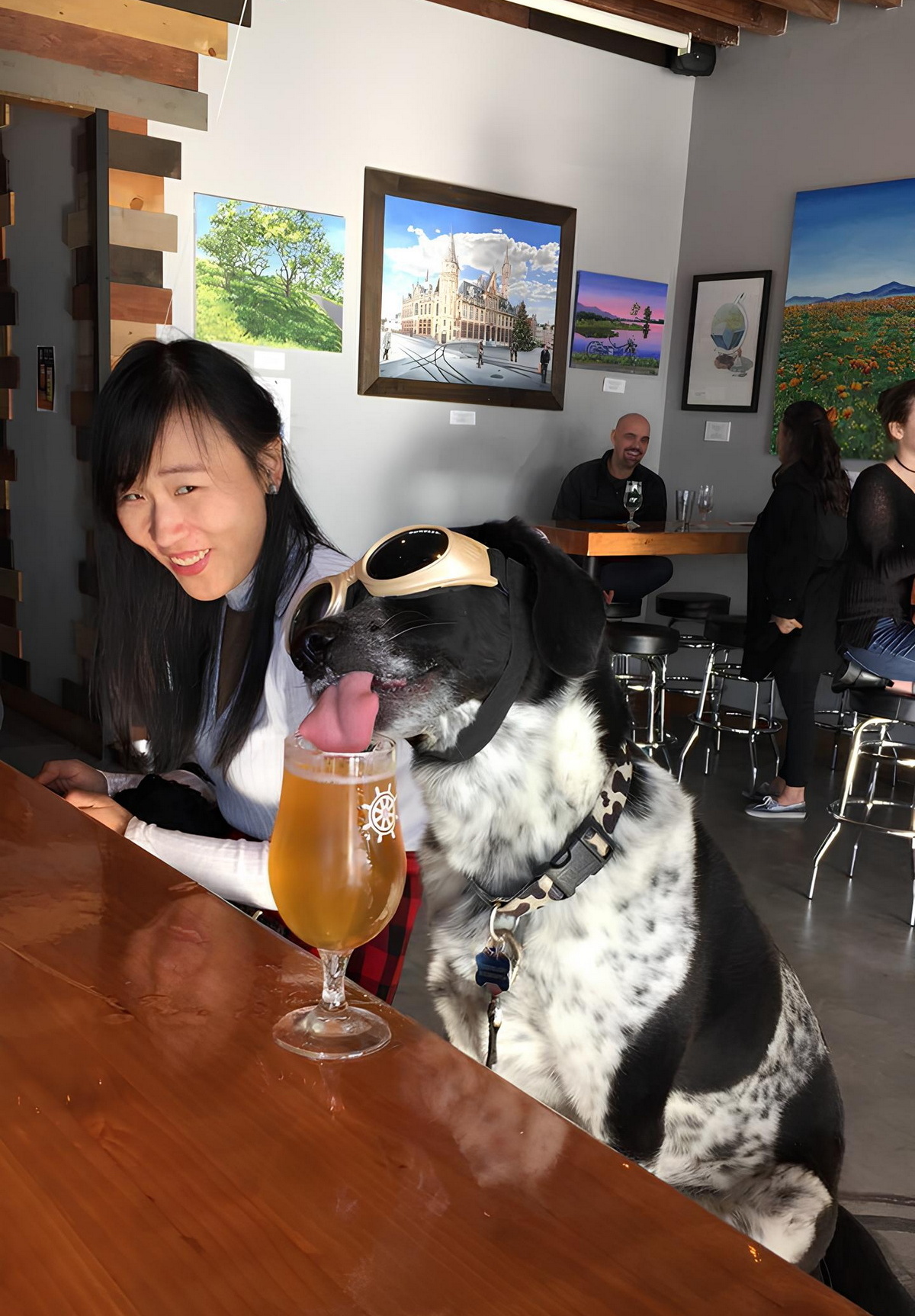 Свежие приколы