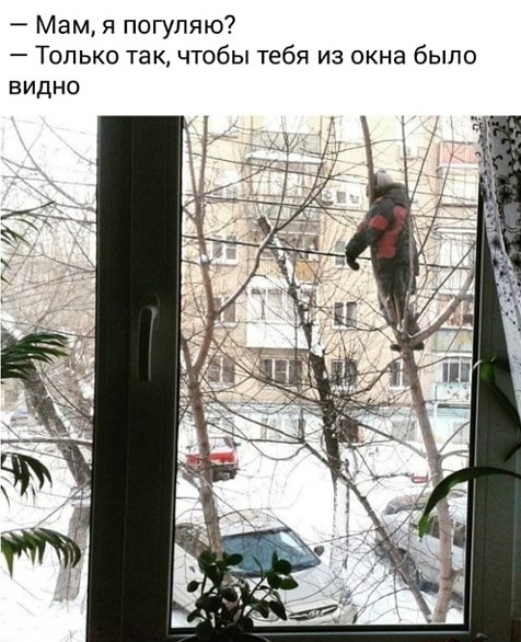 Свежие мемы и смешные картинки: взрослый юмор, который взорвет ваш день