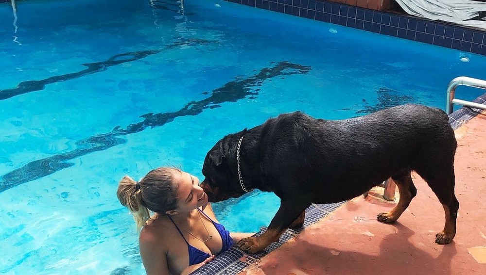 Улыбнись! Очаровательные девушки и их забавные пёсики — двойная порция радости!