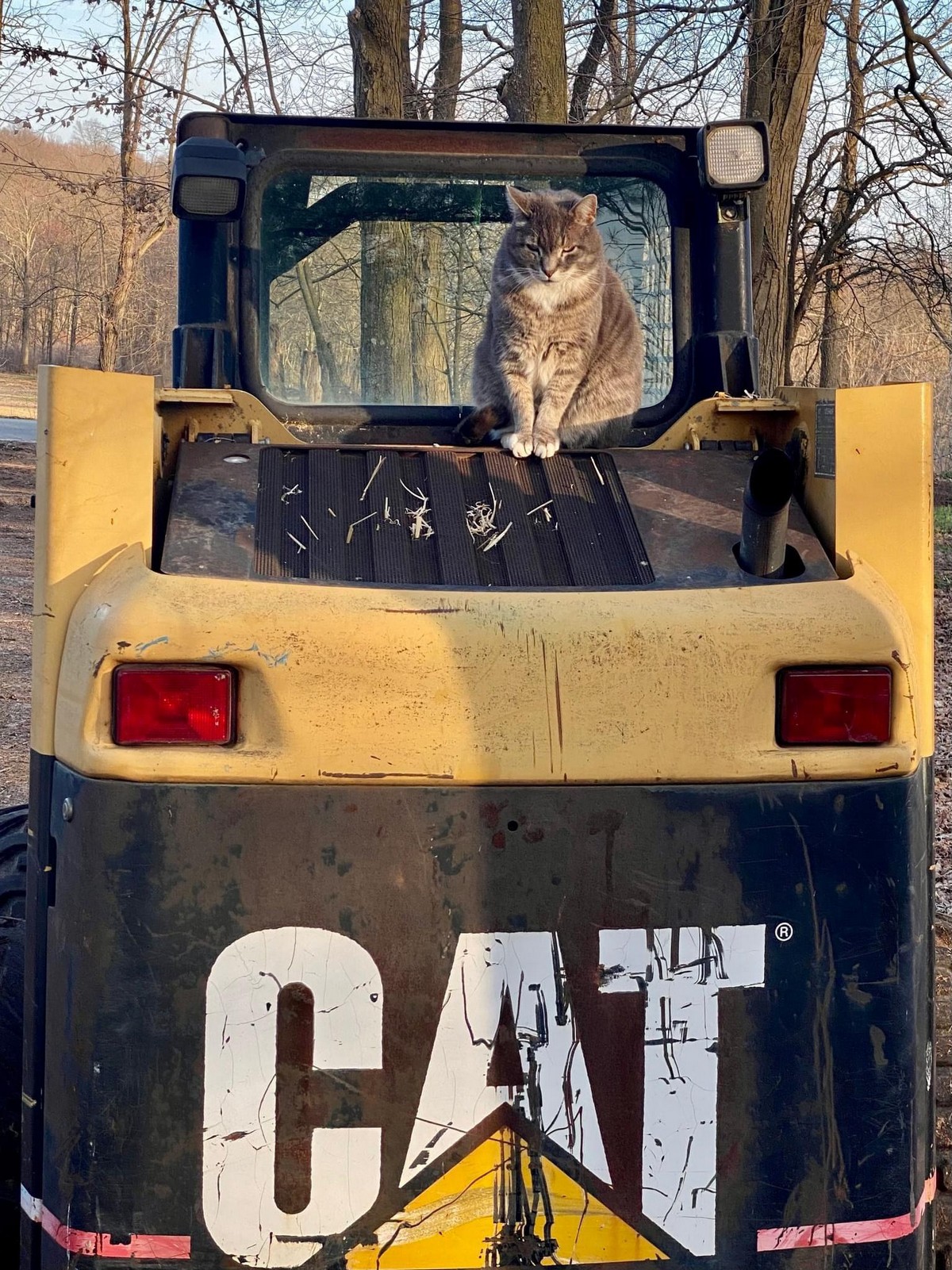 Позитивные картинки