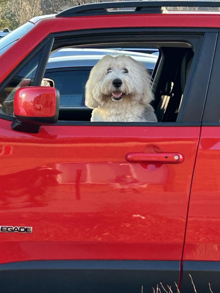 Свежие приколы