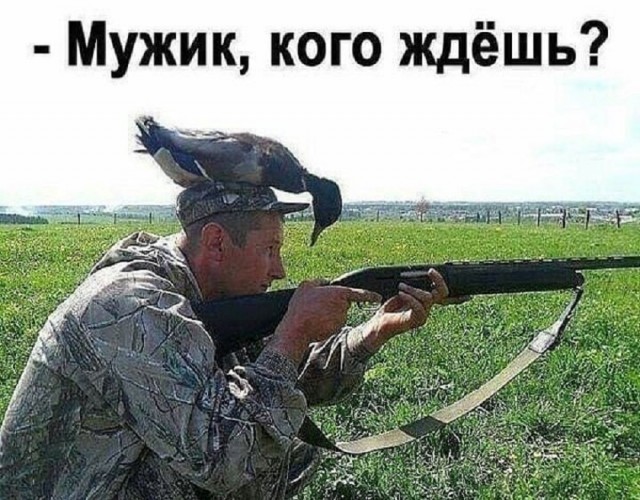 Свежие мемы и смешные картинки: взрослый юмор, который взорвет ваш день