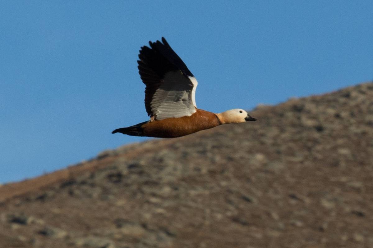 Позитивные картинки