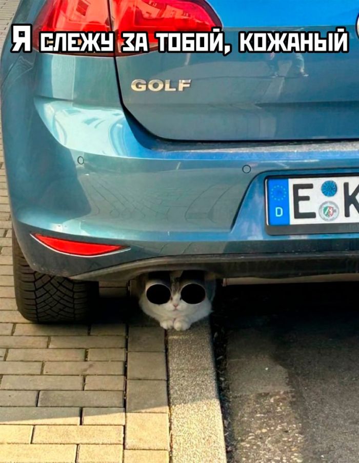 Свежие приколы