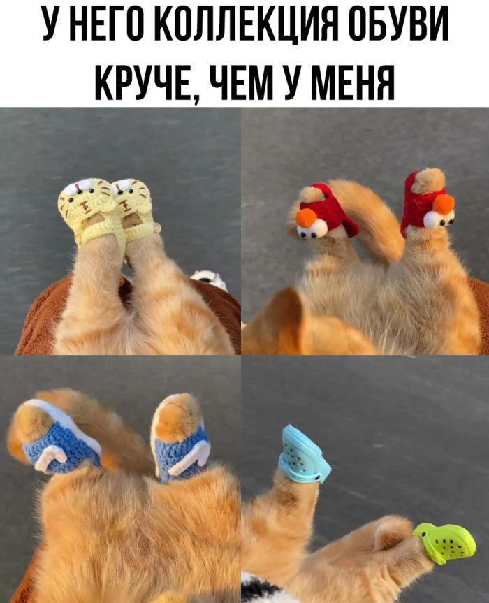 Смешные картинки с надписями