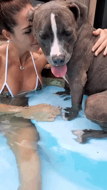 Улыбнись! Очаровательные девушки и их забавные пёсики — двойная порция радости!