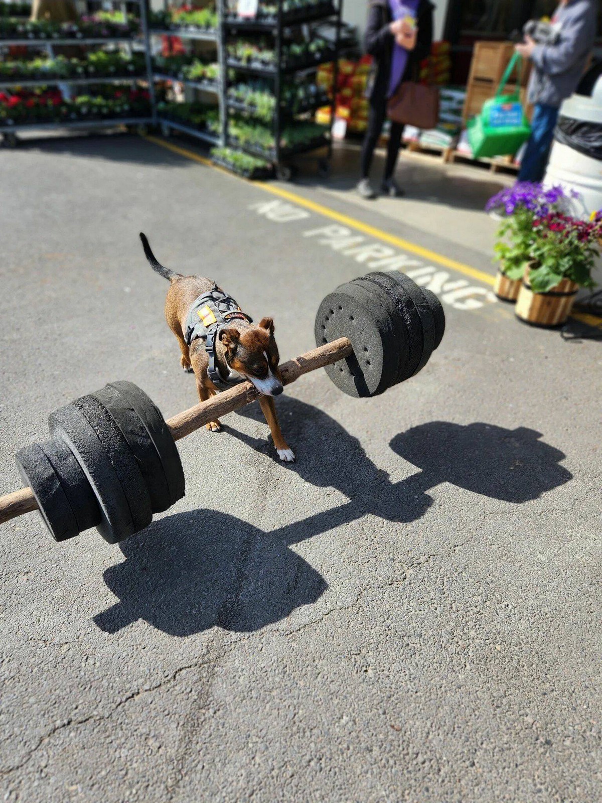 Позитивные картинки