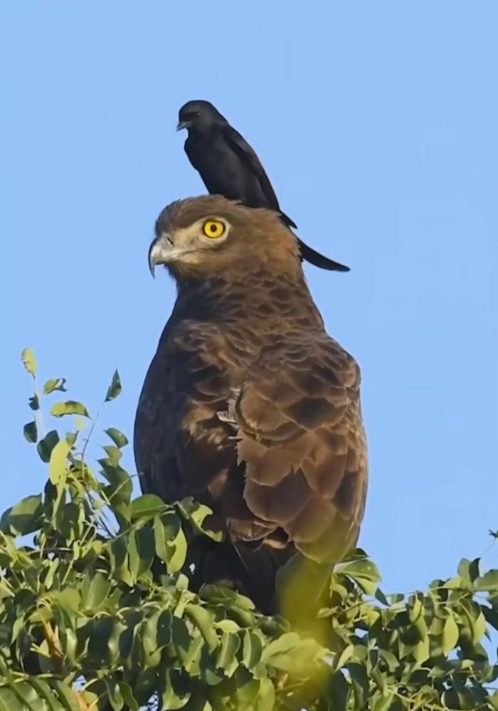 Смешные мемы