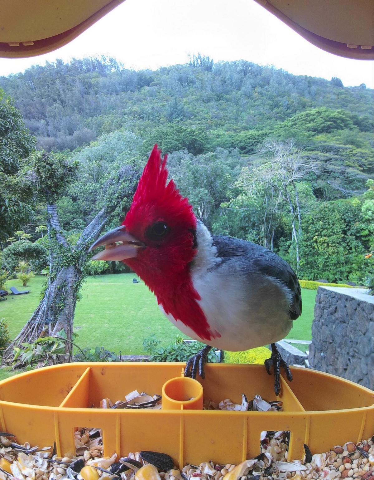 Позитивные картинки