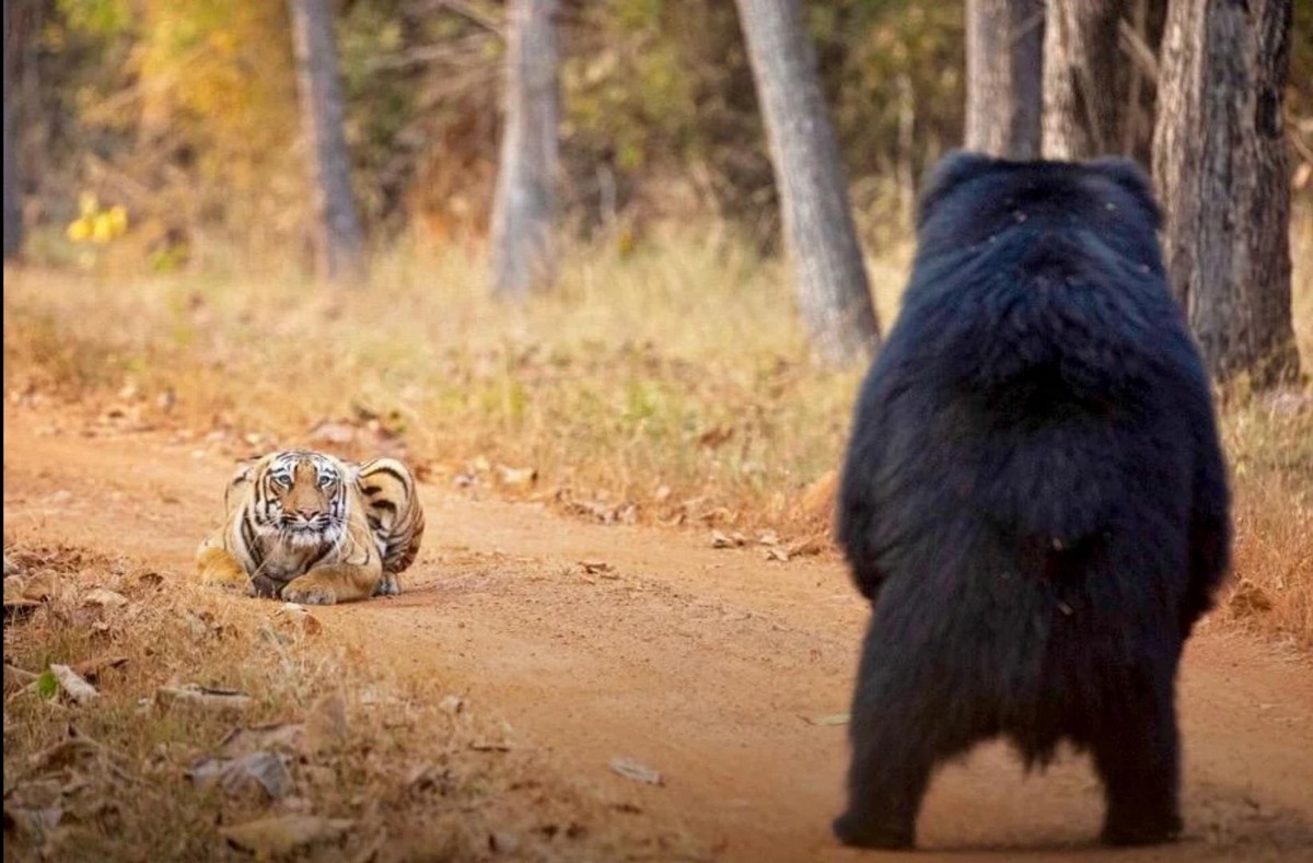 Позитивные картинки